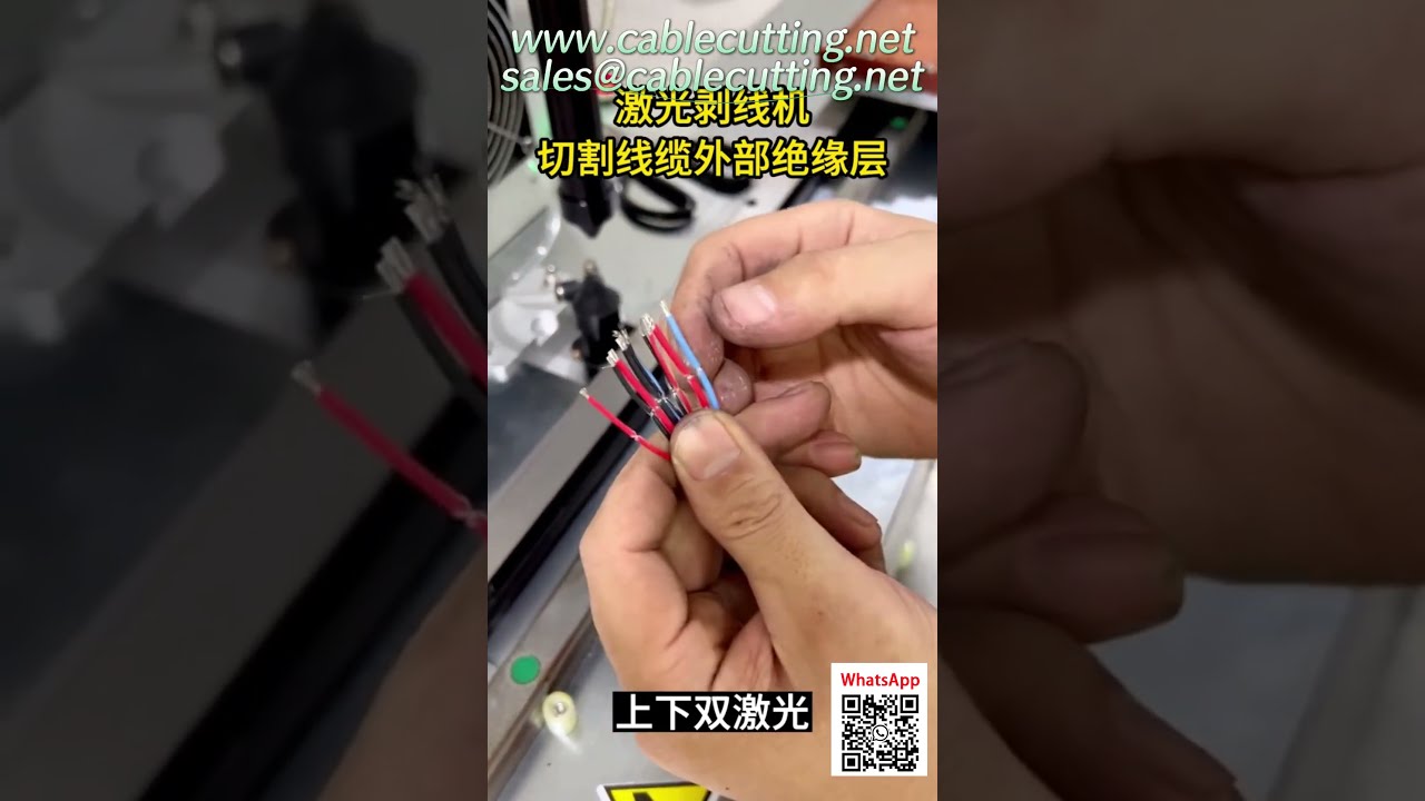 Peladora Láser de CO2 de Doble Cabezal: Precisión ±0.1 mm para Pelado sin Daños