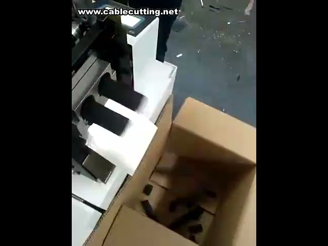 Máquina Cortadora de Bandas Elásticas Automática - Precio y Características
