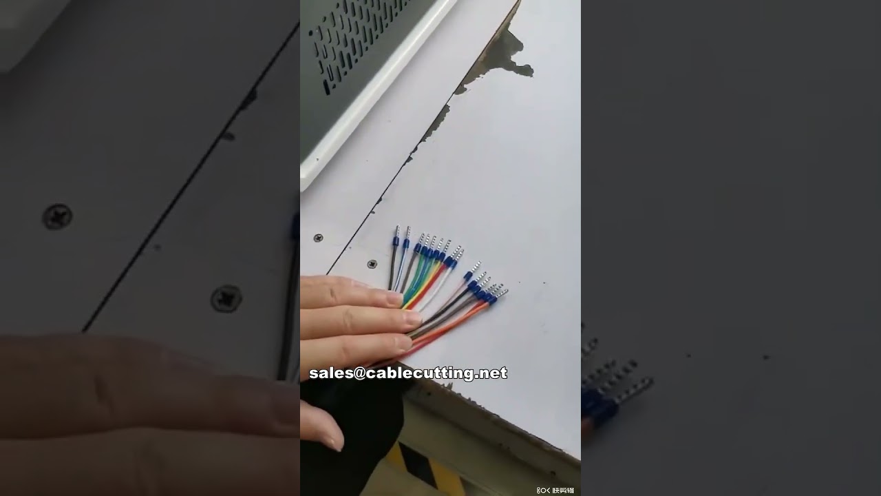 Máquina peladora y crimpadora para terminales preaislados WPM-5-40