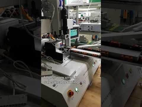 Máquina Automática de Atornillado de Mesa de Alta Precisión - Sistema Multiestación para Dos Tipos de Tornillos