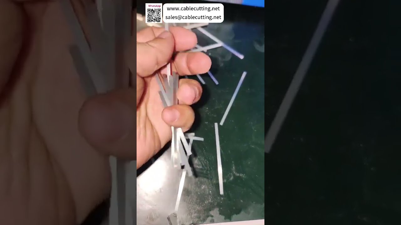 Corte de precisión: Máquina automática Modelo 100 para tiras de acero niquelado (0,08-2,5 mm)