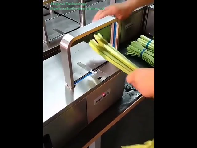 Cinta OPP Colorida para Máquina Flejadora | Material de Fleje Termosellable para Atado de Verduras