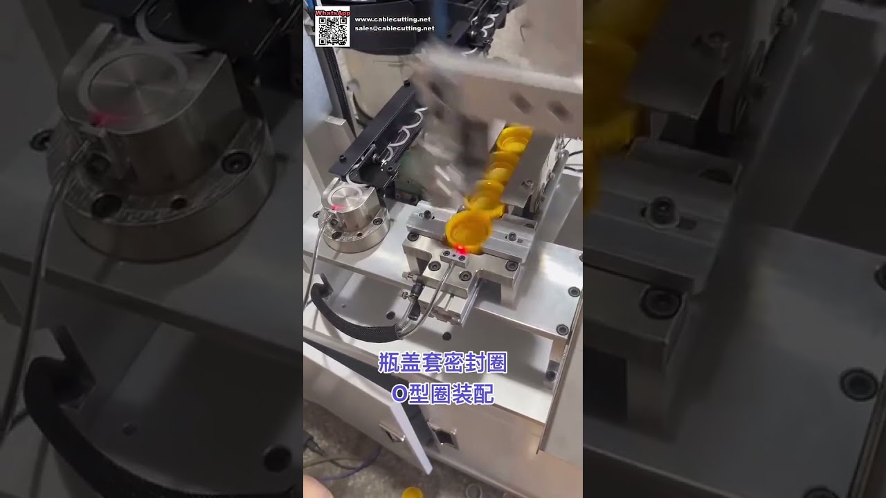 Máquina Automática de Ensamblaje de Juntas Tóricas de Calidad de Exportación para Componentes de Sellado de Silicona