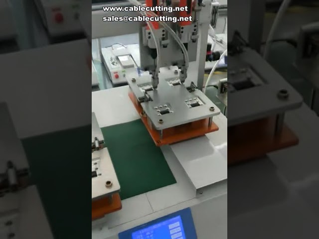 Dispensador de adhesivo UV con curado simultáneo y mesa dual alterna