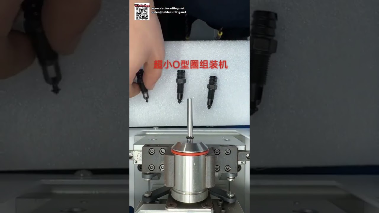 Máquina Automática de Ensamblaje de Juntas Tóricas de Alto Rendimiento para la Producción de Componentes de Sellado de Aceite